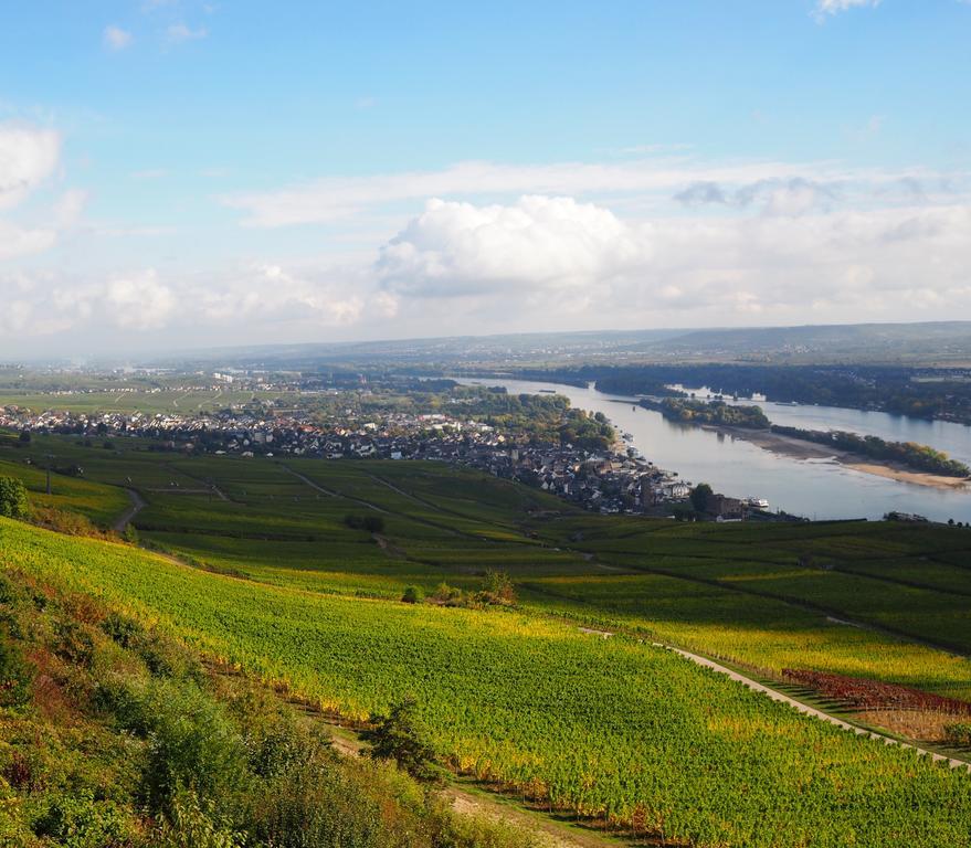 Gasthaus Weingut Stahl Oberwesel Zewnętrze zdjęcie
