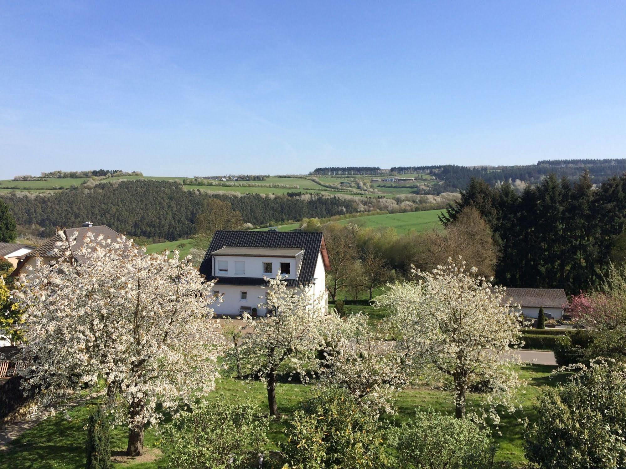 Gasthaus Weingut Stahl Oberwesel Zewnętrze zdjęcie